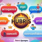 Synonyms for Hubris