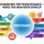 Synonyms for Perseverance