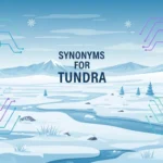 Synonyms for Tundra