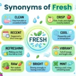 Synonyms of Fresh