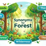 Synonyms for Forest