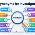Synonyms for Investigate