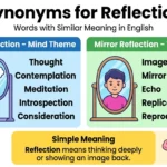 Synonyms for Reflection